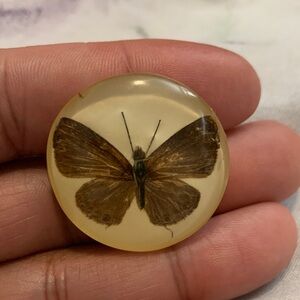 Vintage West Germany Butterfly Resin Brooch